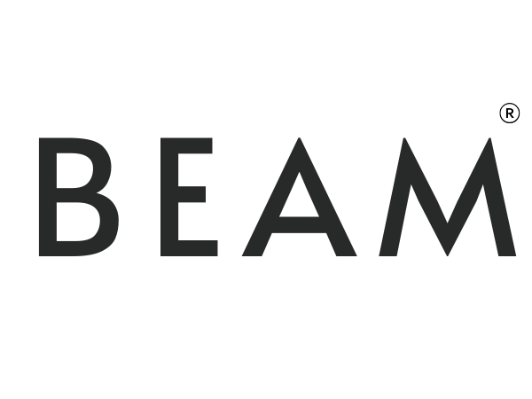 Beam Electric Flosser
